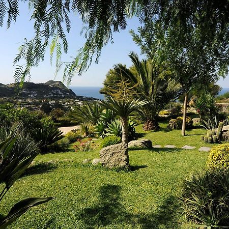 شقة Casa Ischitana Forio di Ischia المظهر الخارجي الصورة