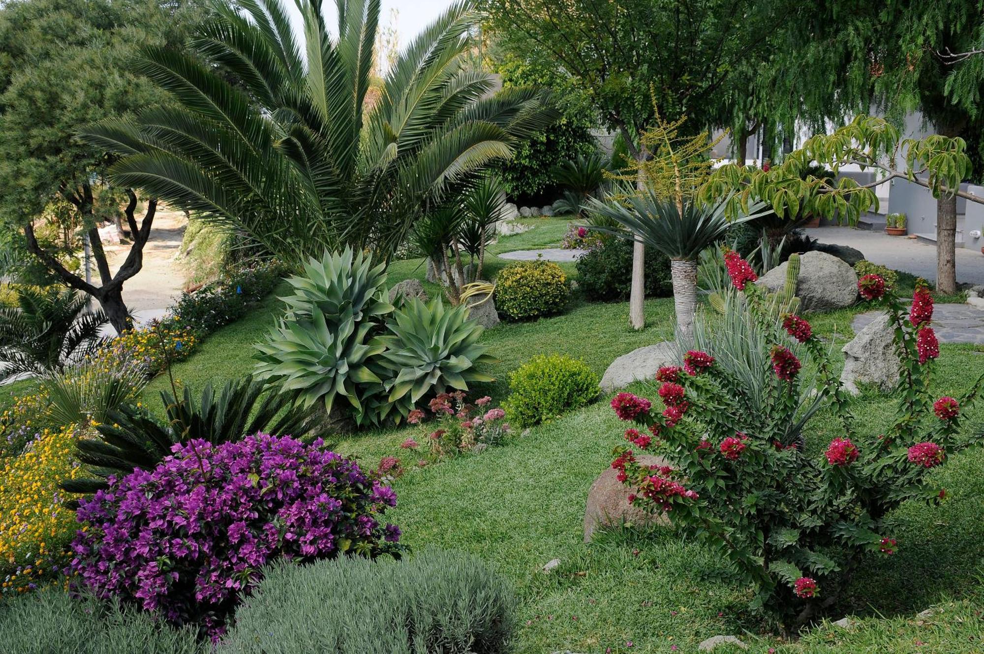 شقة Casa Ischitana Forio di Ischia المظهر الخارجي الصورة