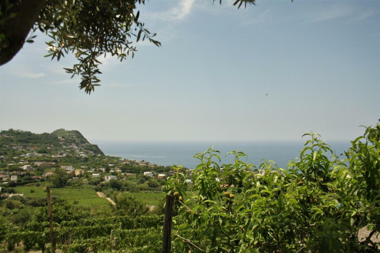 شقة Casa Ischitana Forio di Ischia المظهر الخارجي الصورة