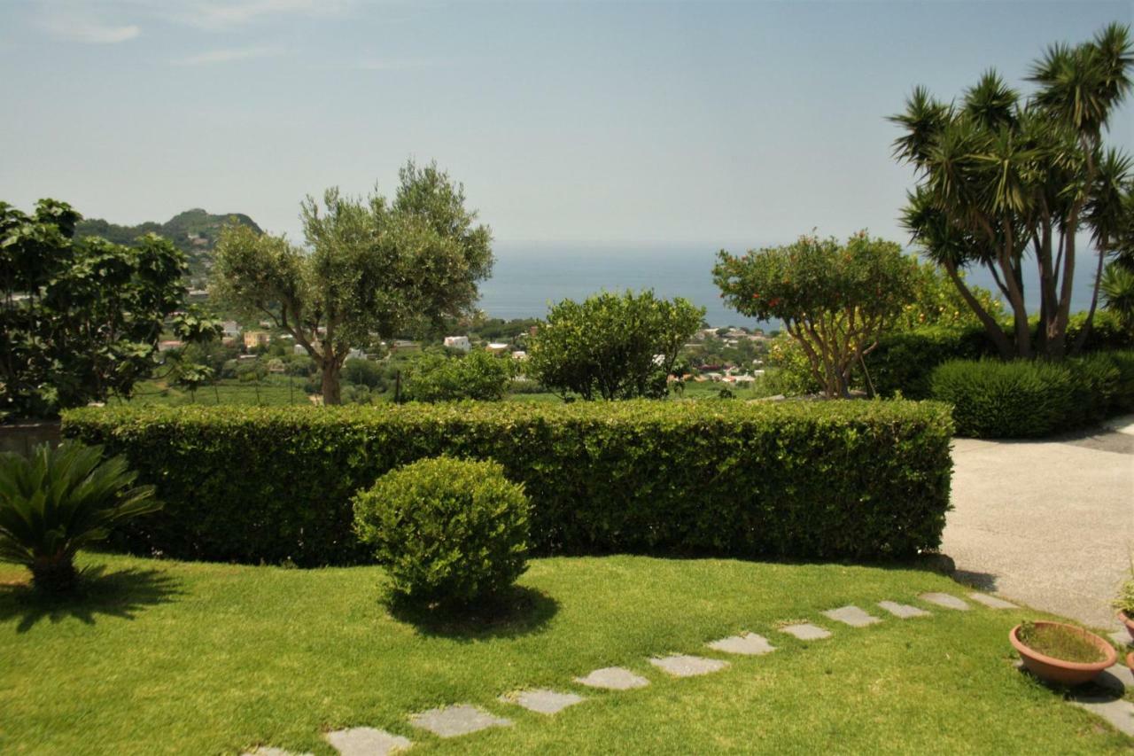 شقة Casa Ischitana Forio di Ischia المظهر الخارجي الصورة